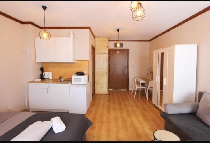 Luxury Ivana Apartament